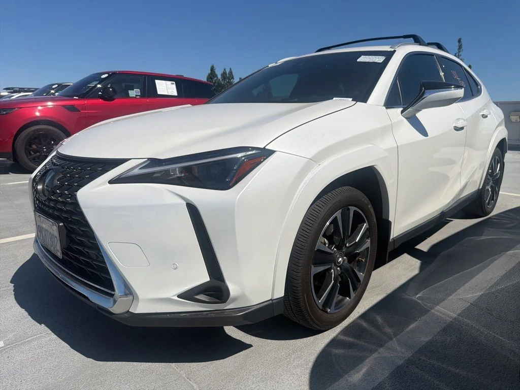 2024 Lexus UX 300h 250h Premium's photo