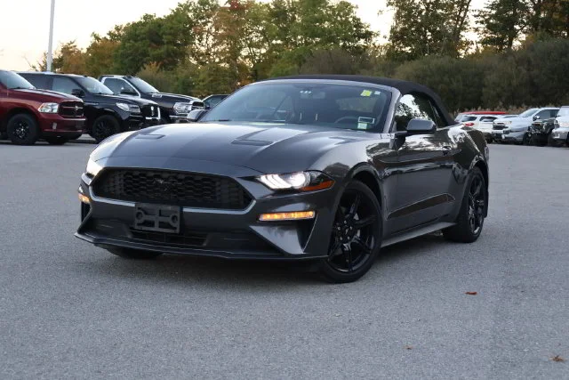 2019 Ford Mustang