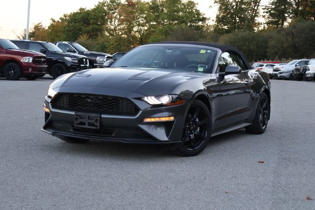 2019 Ford Mustang
