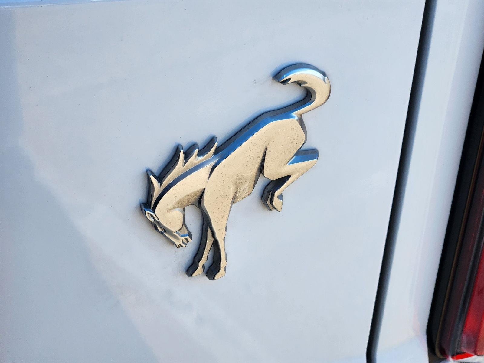 Used 2023 Oxford White Ford Outer Banks image 12