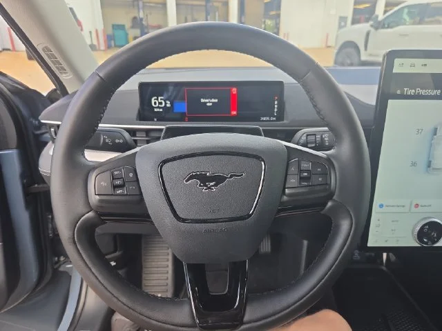 Used 2023 Blue Ford California Route 1 image 14