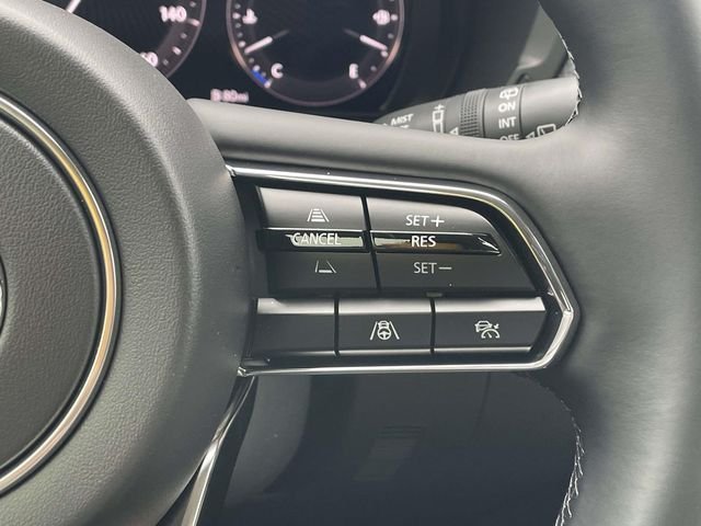 2026 Mazda CX-90 Premium Package - Photo 25