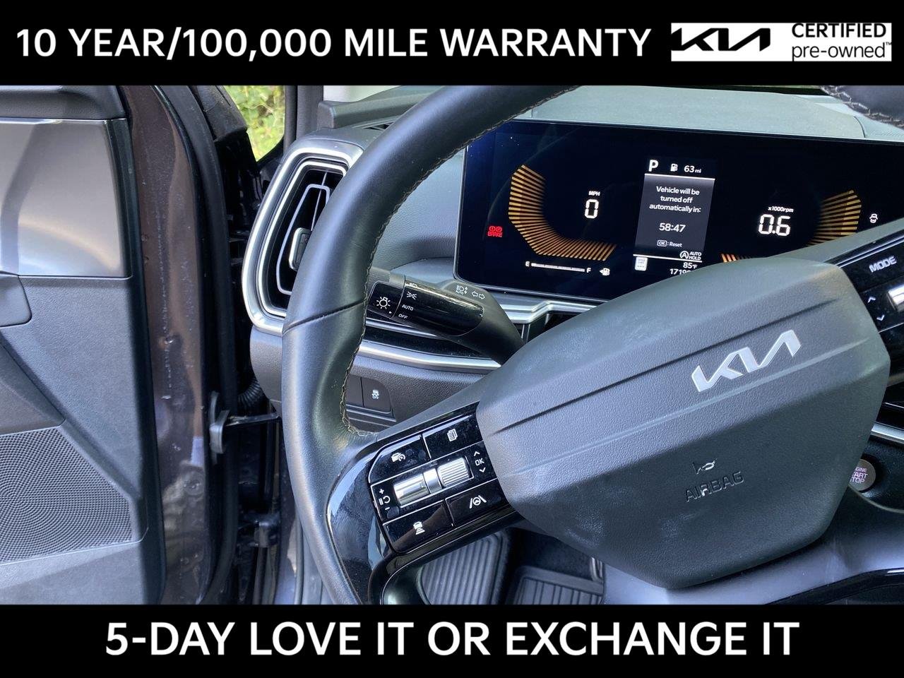 Used 2026 Panthera Metal Kia LX image 33