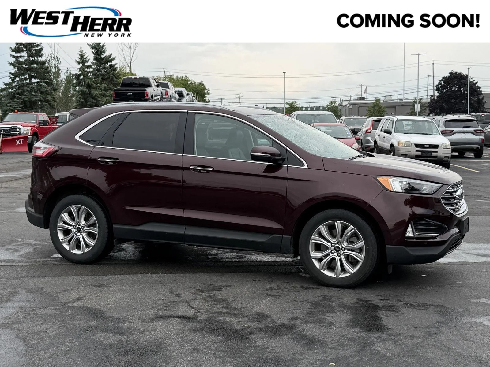 Used 2024 Burgundy Velvet Metallic Tinted Clearcoat Ford Titanium image 1