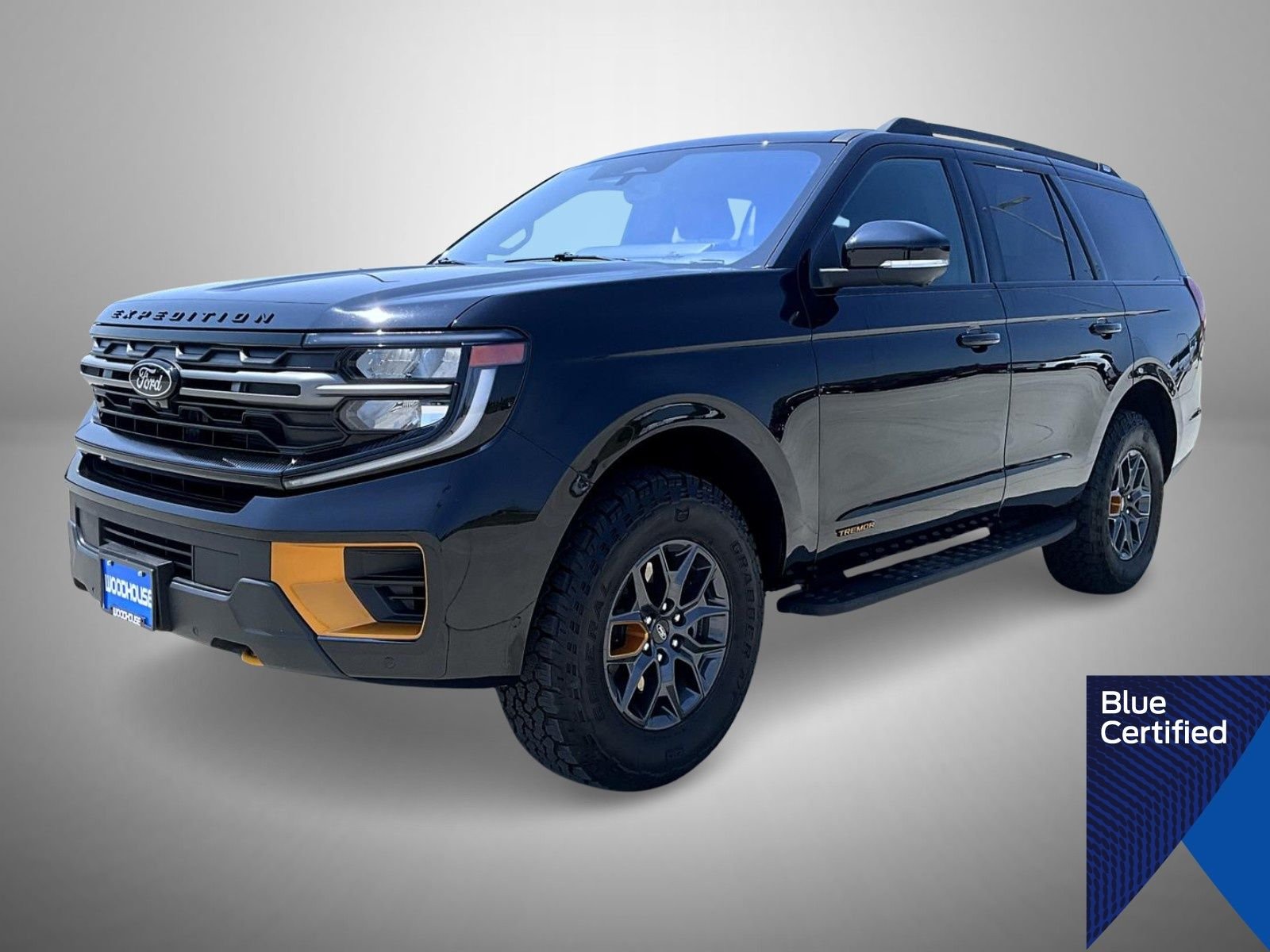 2025 Ford Expedition