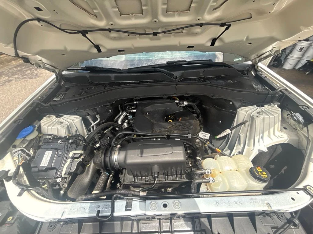 Used 2020 White Ford XLT image 10