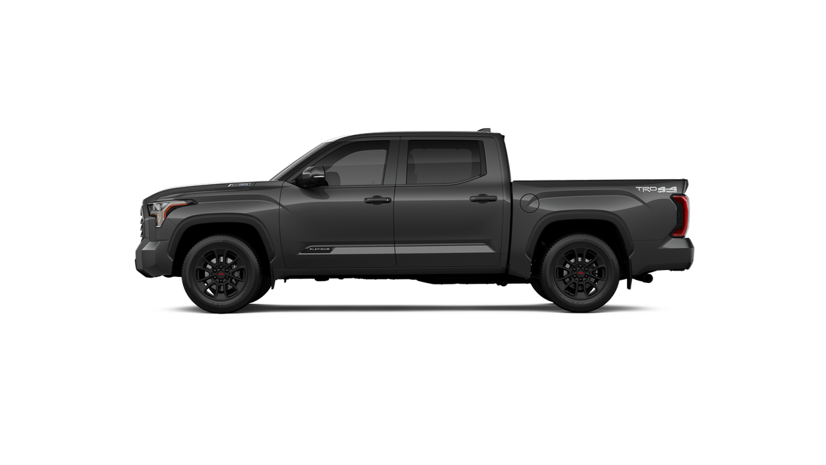 New 2026 Magnetic Gray Metallic Toyota Platinum image 19