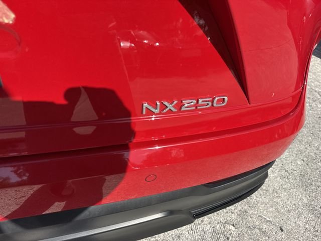 2025 Lexus NX 250 - Photo 25