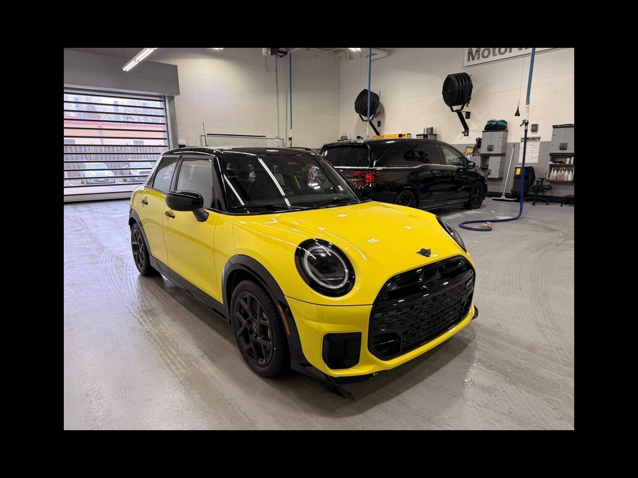New 2026 Sunny Side Yellow MINI ICONIC image 7