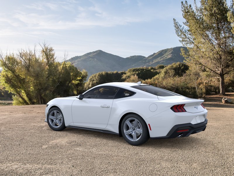 New 2026 Oxford White Ford EcoBoost® Fastback image 4