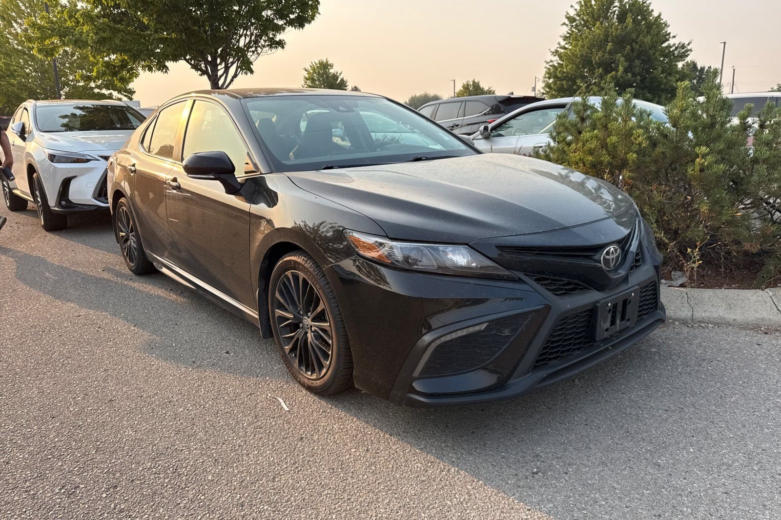 Used 2022 Black Toyota SE Nightshade image 2