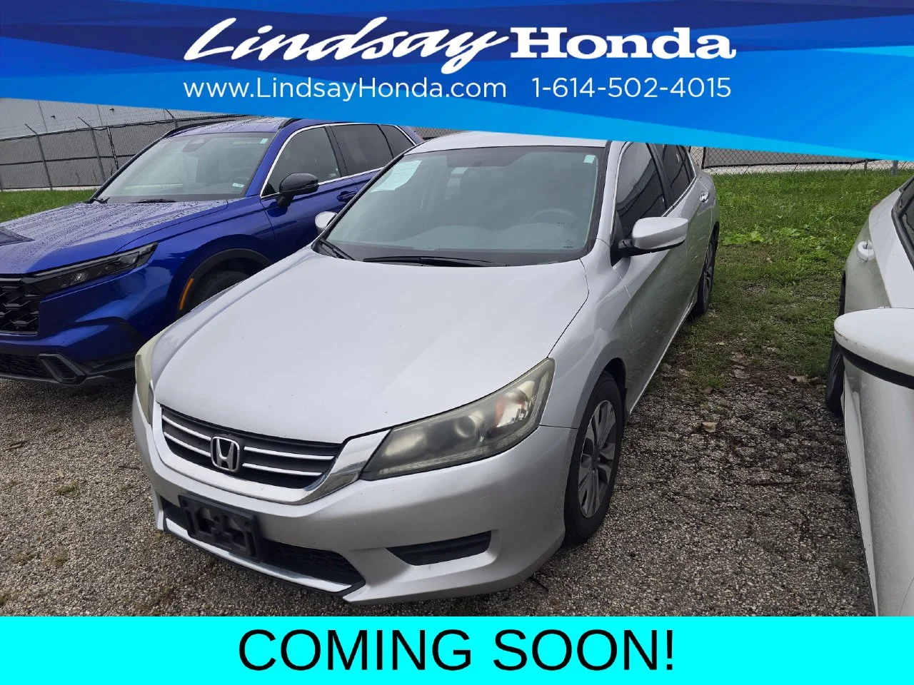 Used 2013 Alabaster Silver Metallic Honda LX image 3