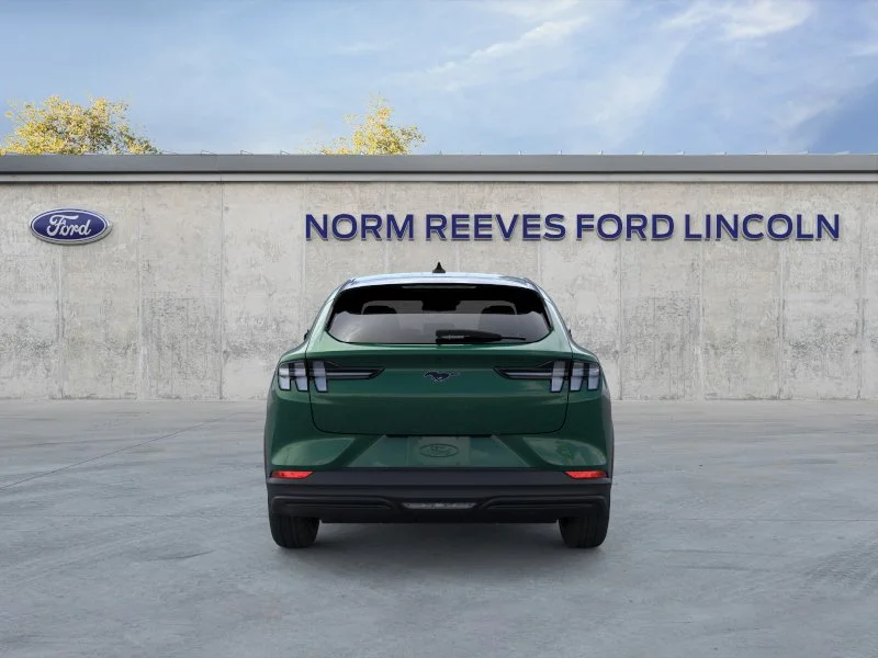 New 2026 Eruption Green Metallic Ford Select image 34