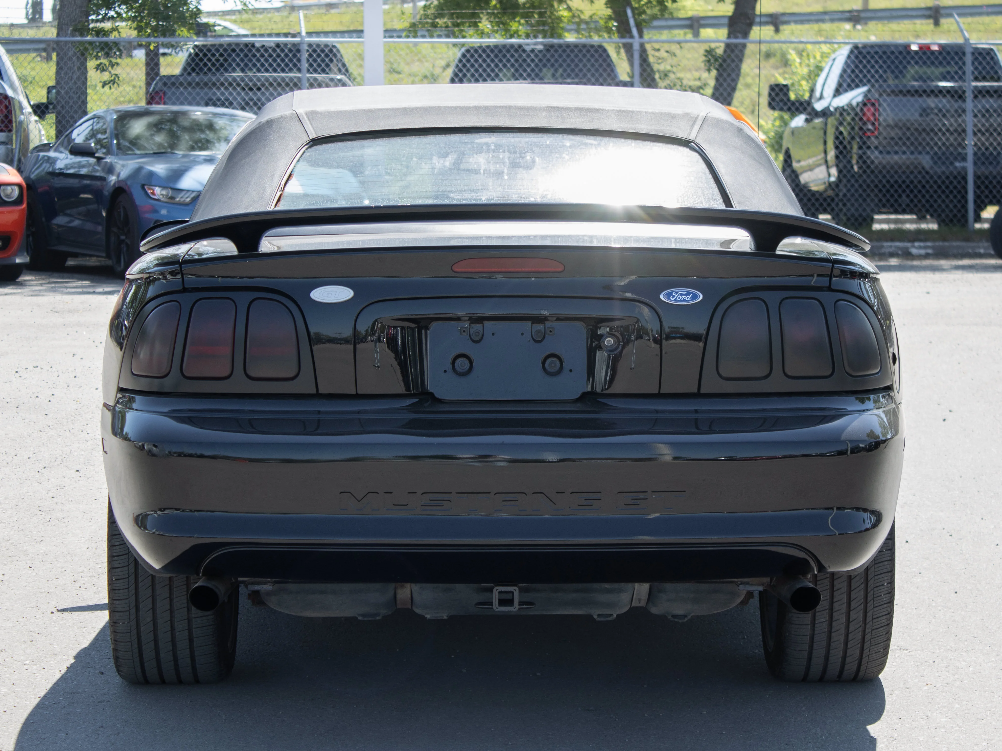 Used 1997 Black Ford GT* Convertible | 4.6L V8 | 5-Speed Manual | SVT Wheels | image 17