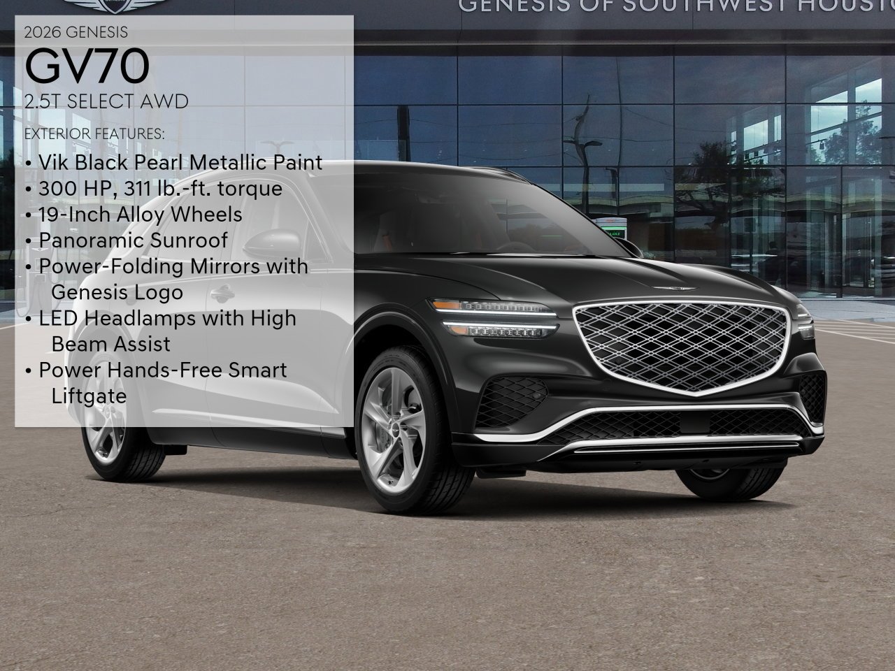 New 2026 Vik Black Genesis  image 3
