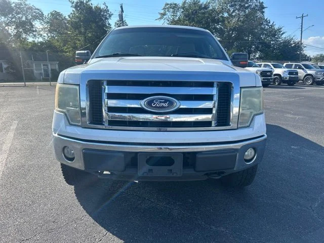 Used 2010  Ford XLT image 7