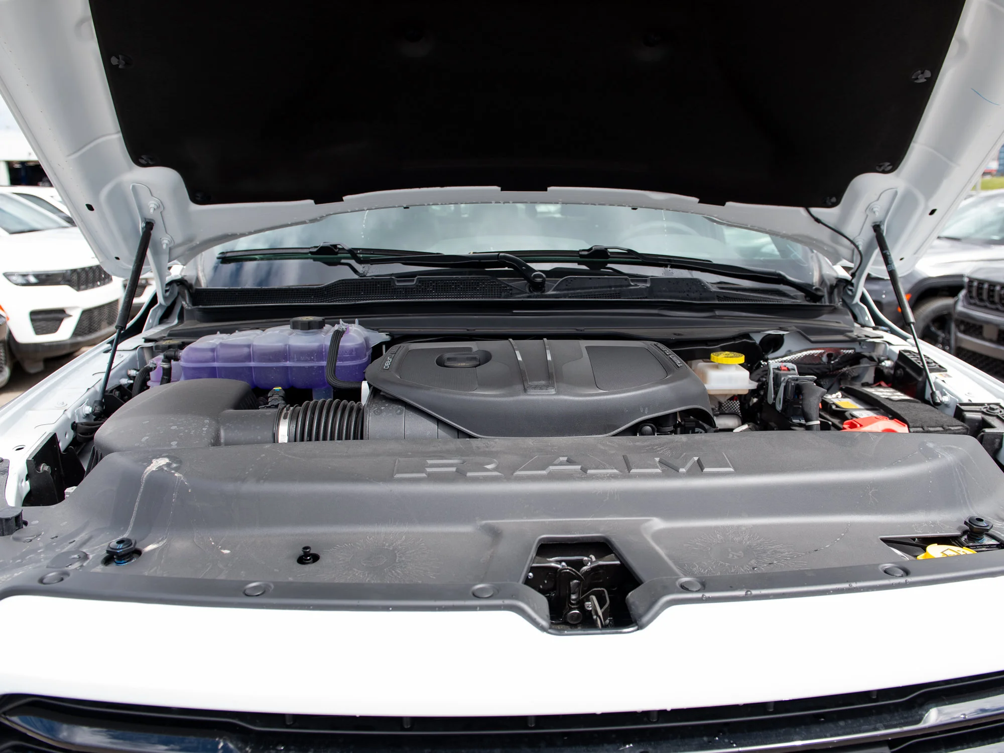 New 2026 White RAM Sport* image 9