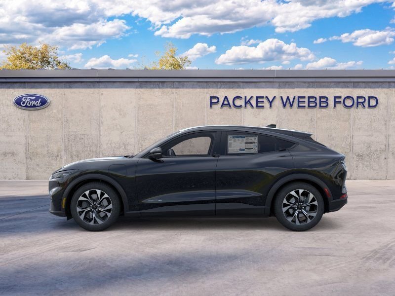 New 2026 Shadow Black Ford Select image 4