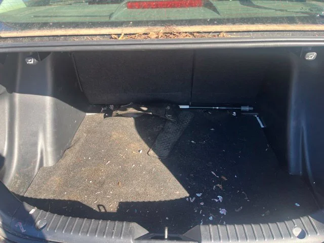 Used 2019 Black Toyota LE image 19