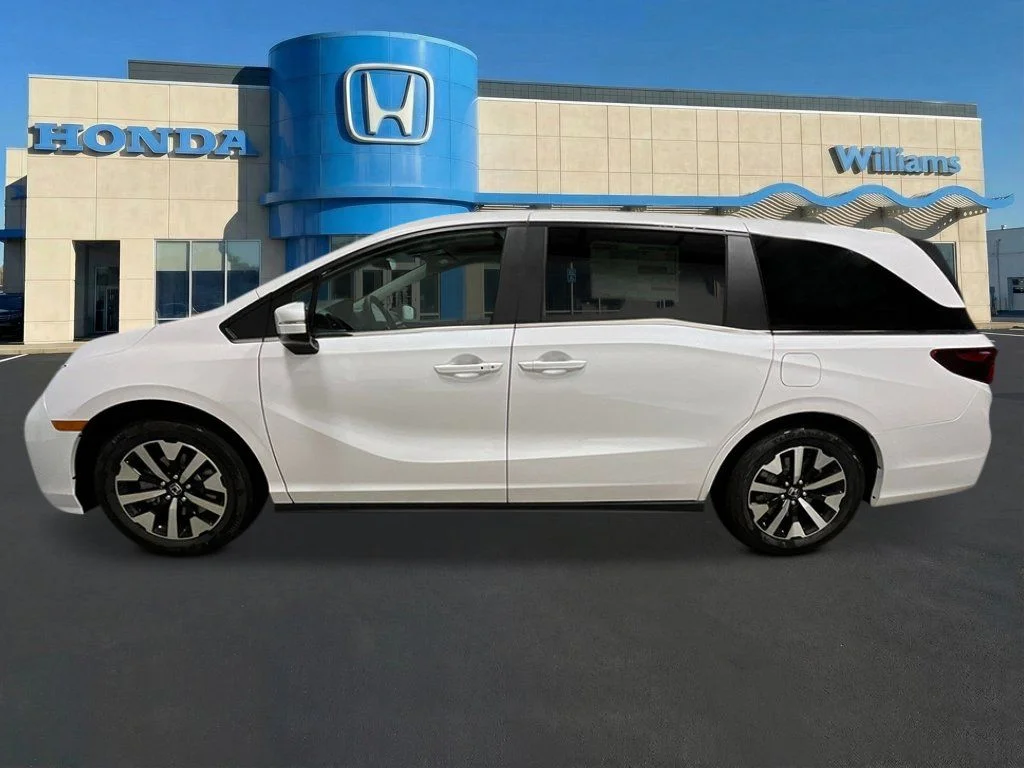 New 2027 Platinum White Pearl Honda EX-L image 2