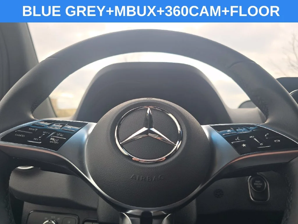 New 2026 Blue Grey Mercedes-Benz Cargo 170 WB image 21