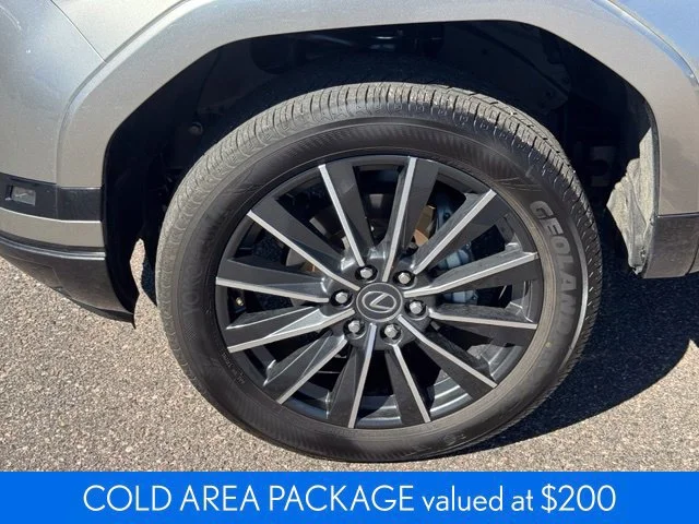 Used 2025 Silver Lexus Luxury+ image 12