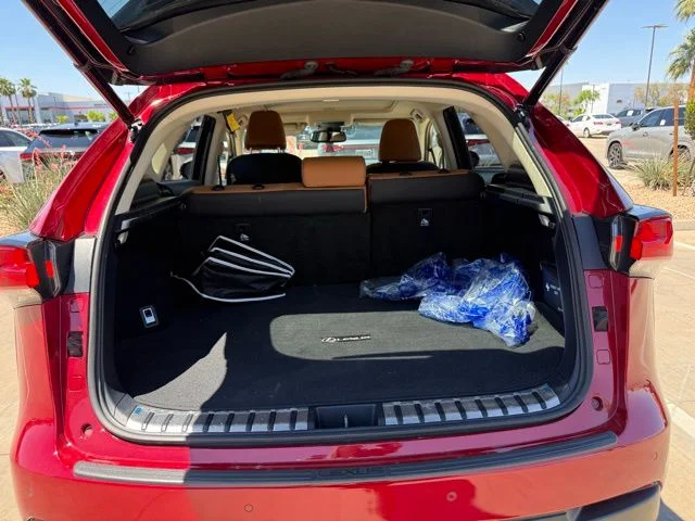 2019 Lexus NX 350 300 AWD's photo