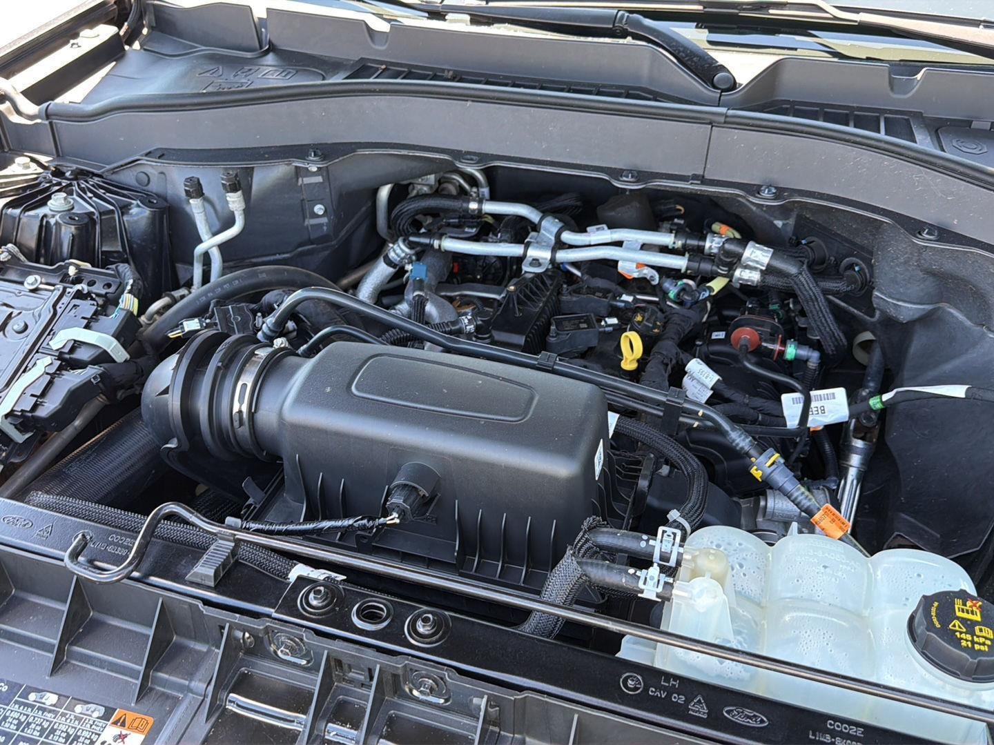 Used 2020 Magnetic Ford Base image 34