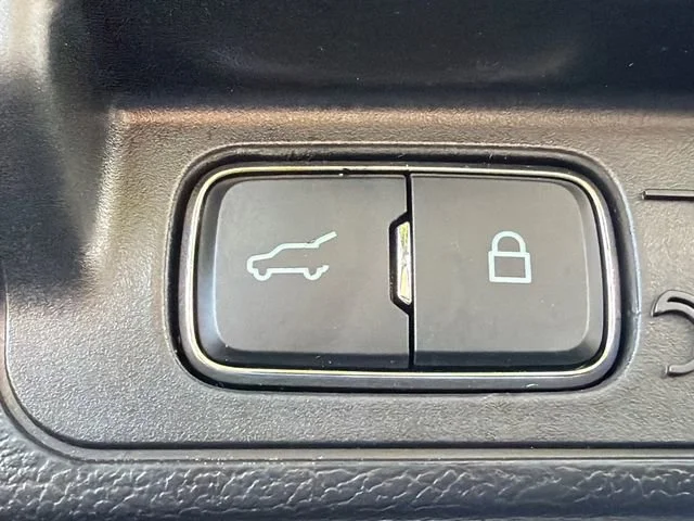 Used 2025 Blue Ford Active image 19
