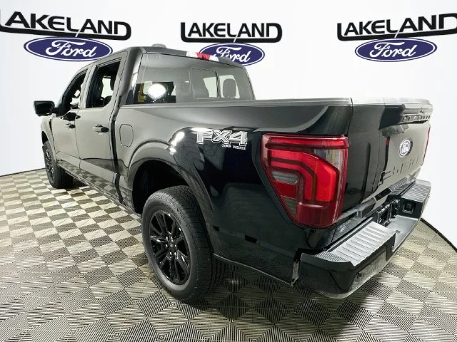 New 2026 Black Ford Platinum image 5