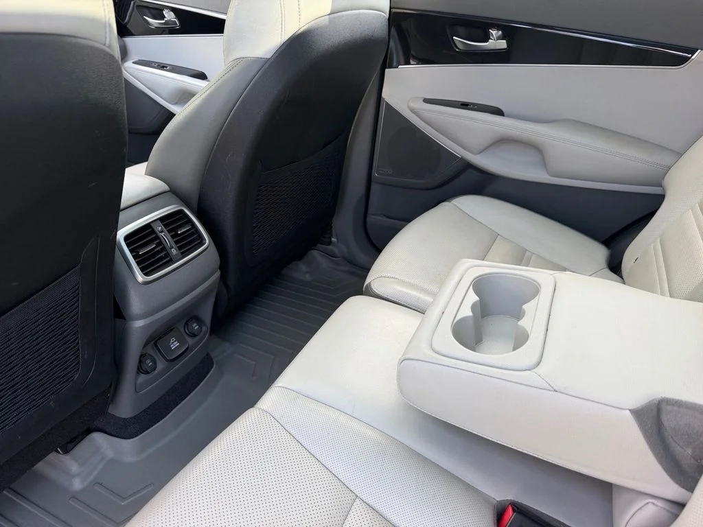 Used 2016 Titanium Silver Kia SX image 16