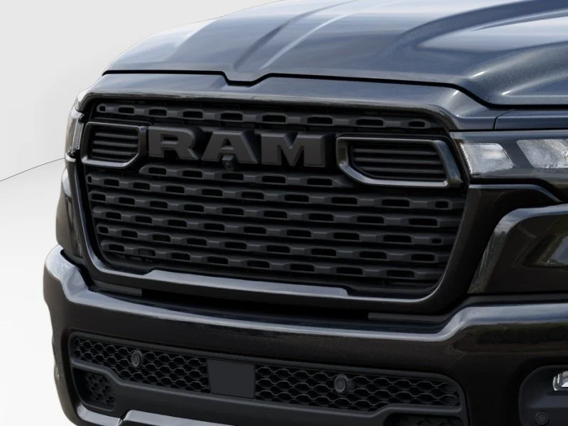 New 2026 Diamond Black Crystal Pearl-Coat Exterior Paint RAM Express image 13