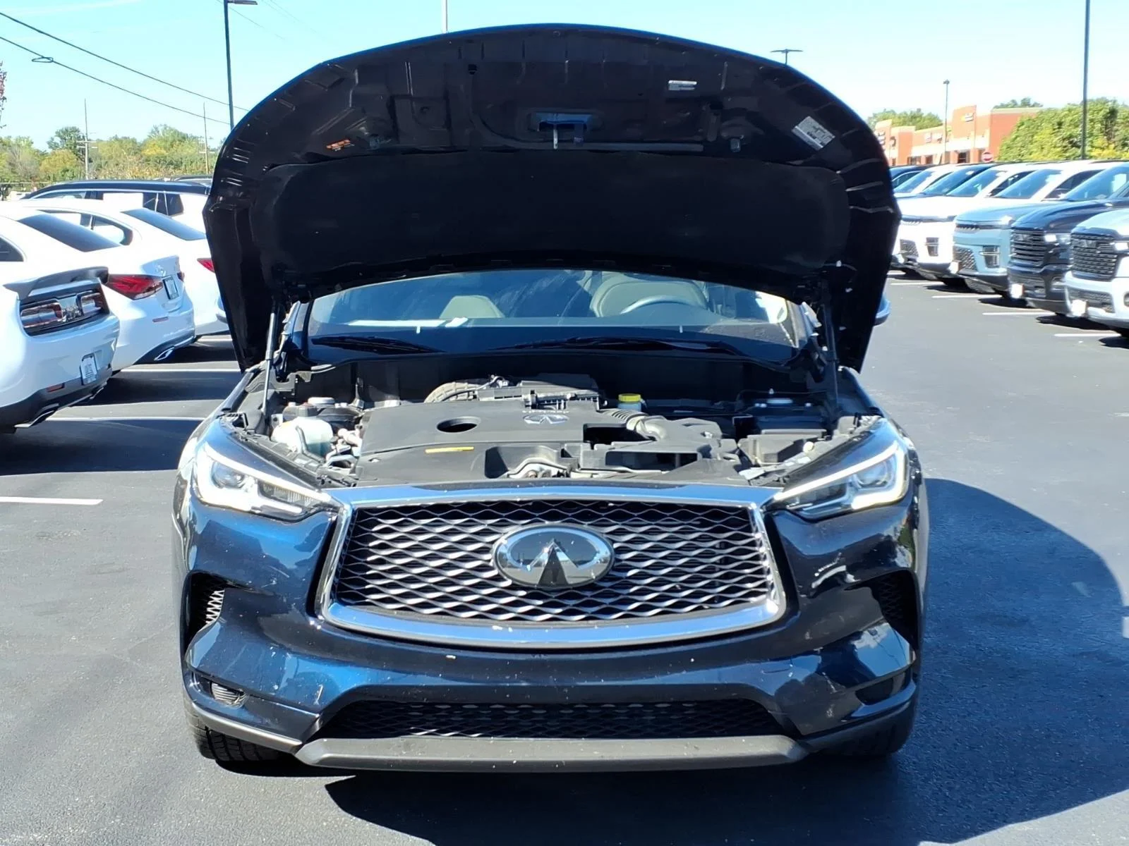 Used 2024 Hermosa Blue INFINITI LUXE image 34