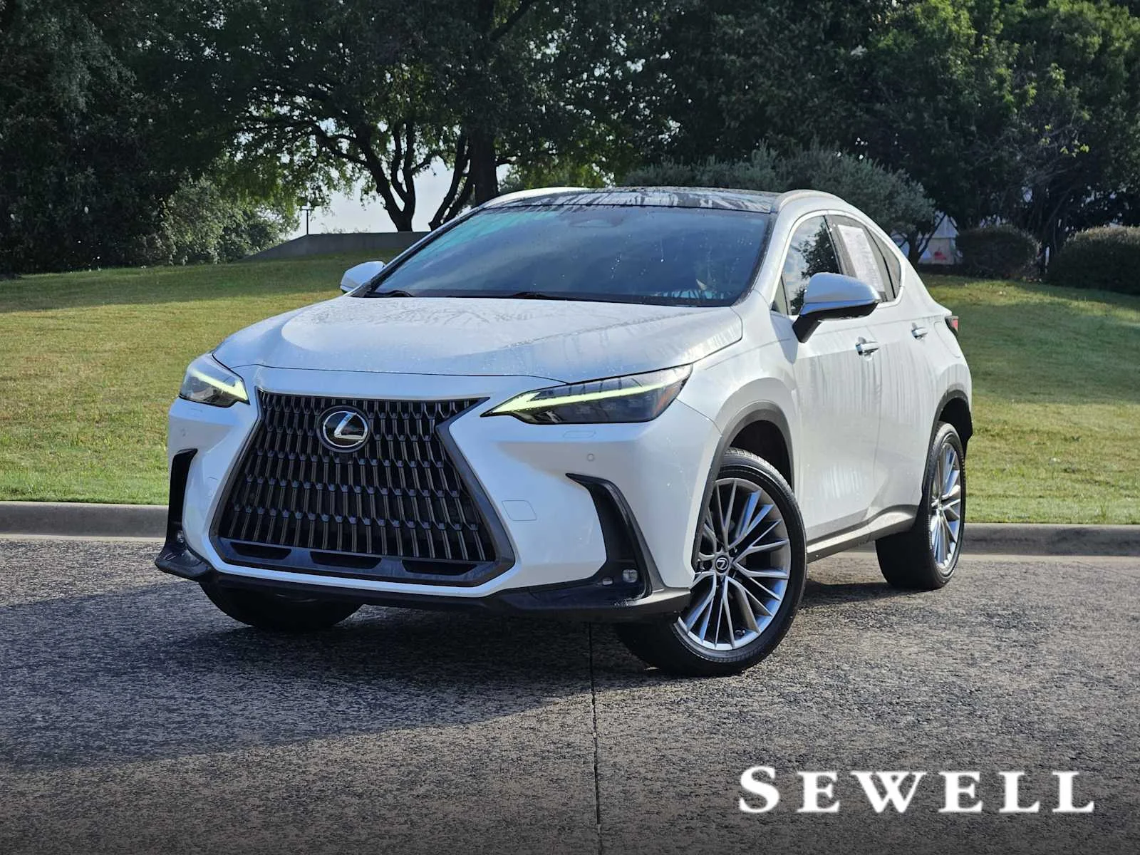 2022 Lexus NX 350 350 Luxury AWD's photo