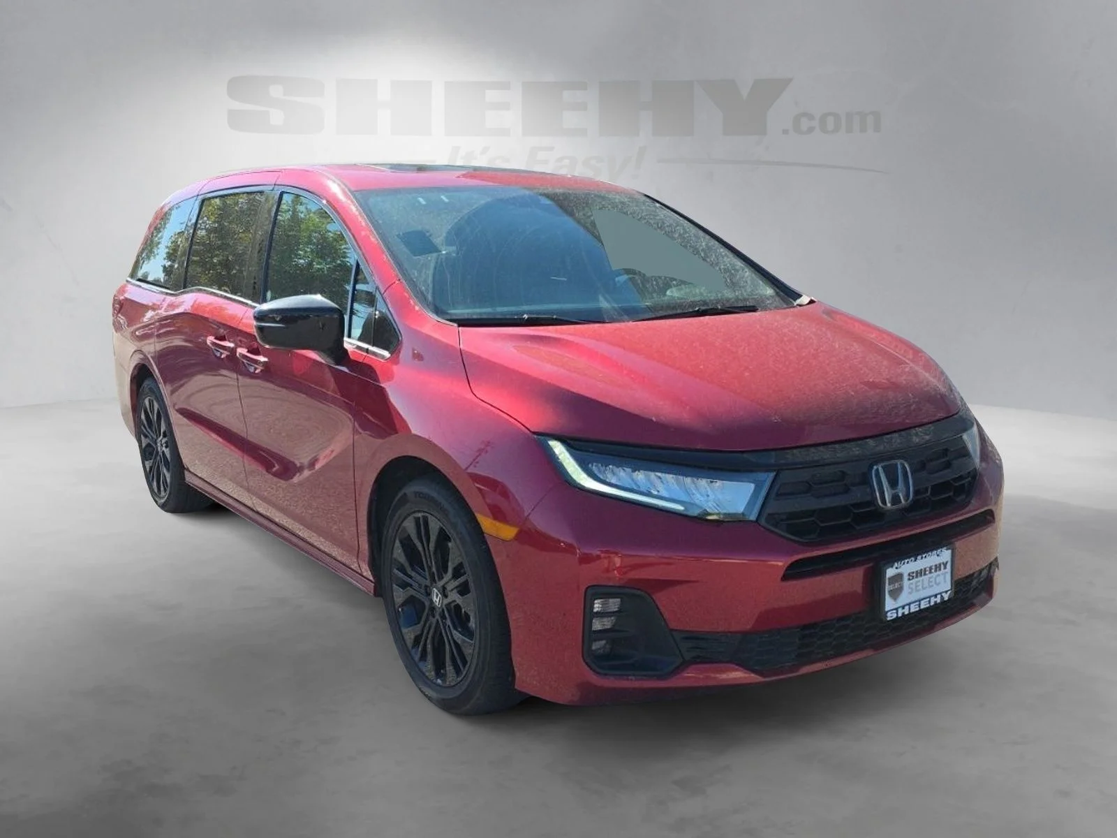 Used 2025  Honda Sport-L image 2