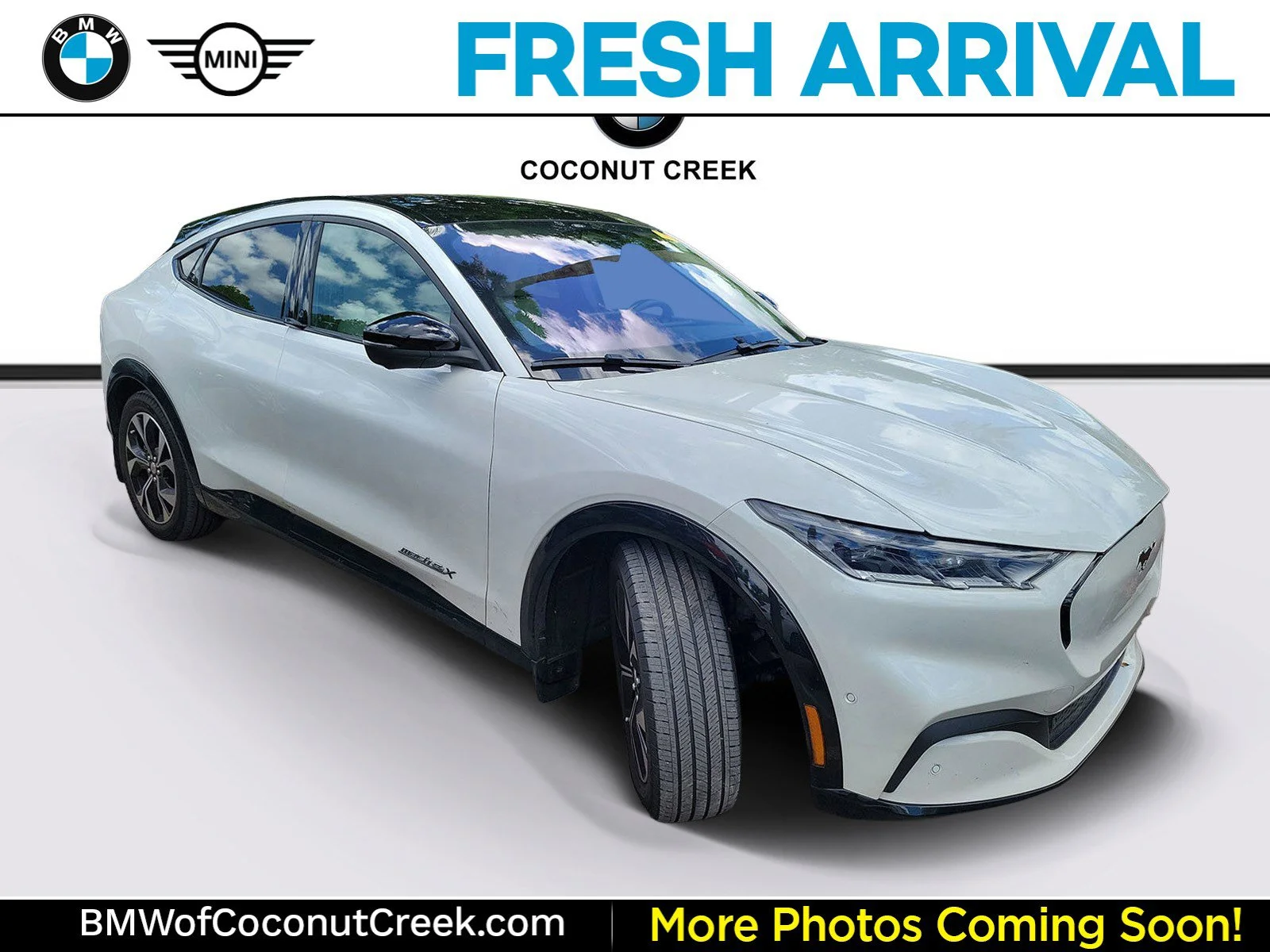 2022 Ford Mustang-Mach-e Premium's photo