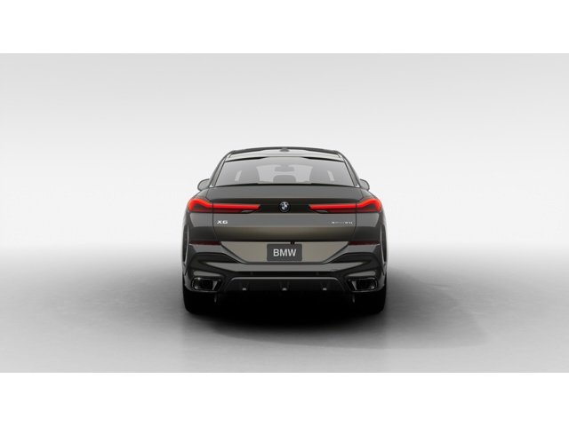 2026 BMW X6 photo 5
