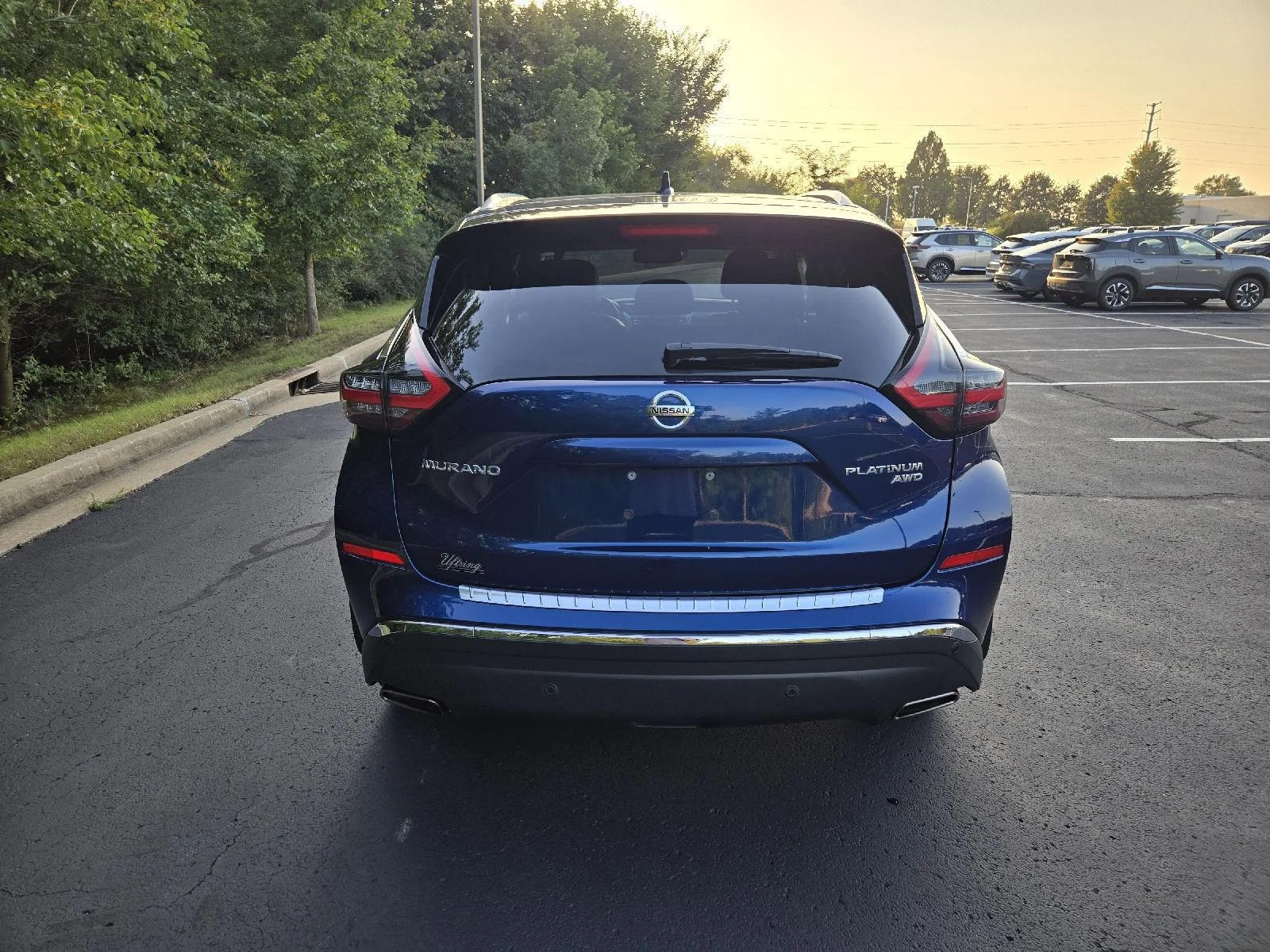 Used 2021 Deep Blue Pearl Nissan Platinum image 8