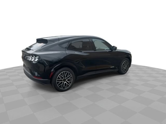 Used 2025 Ford Mustang Mach-E Premium AWD with VIN 3FMTK3SU2SMA37782 for sale in Glendale, WI