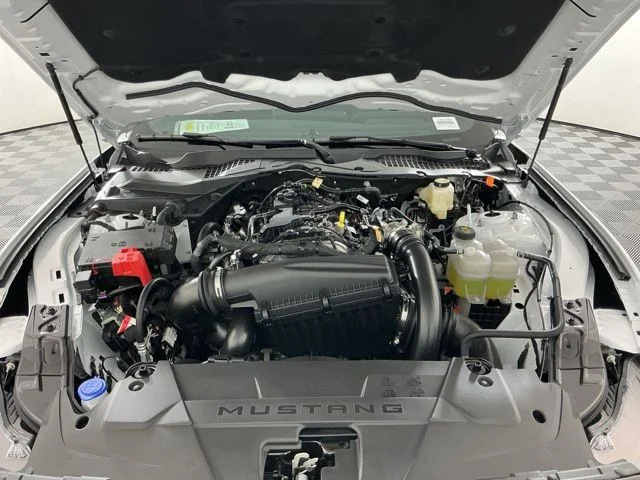 New 2026 Oxford White Ford EcoBoost image 26