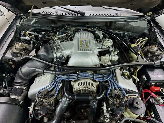 Used 1997 Black Ford Cobra image 26