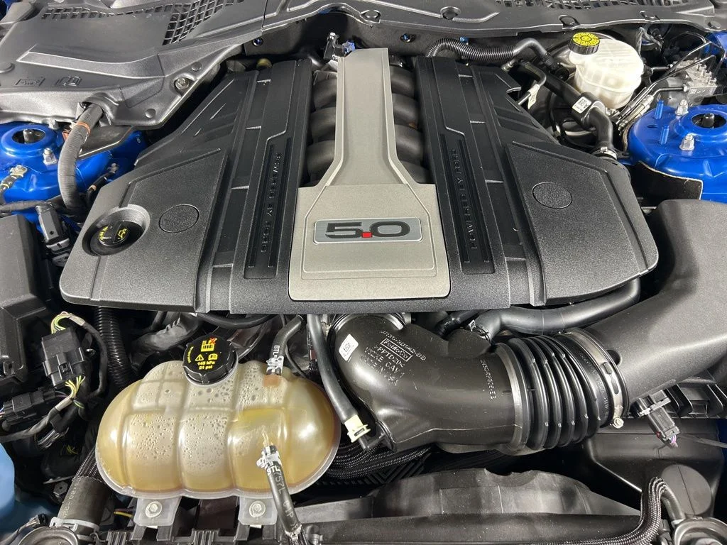 2019 Ford Mustang GT - Photo 24