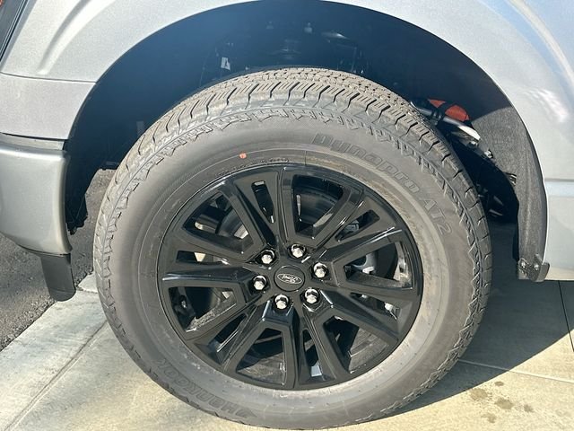 2025 Ford F-150 Platinum - Photo 65