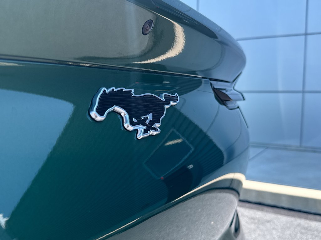 2025 Ford Mustang Mach-E Select - Photo 19