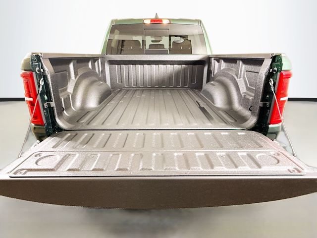 New 2026 Serrano-Green Metallic Exterior Paint RAM RHO image 24