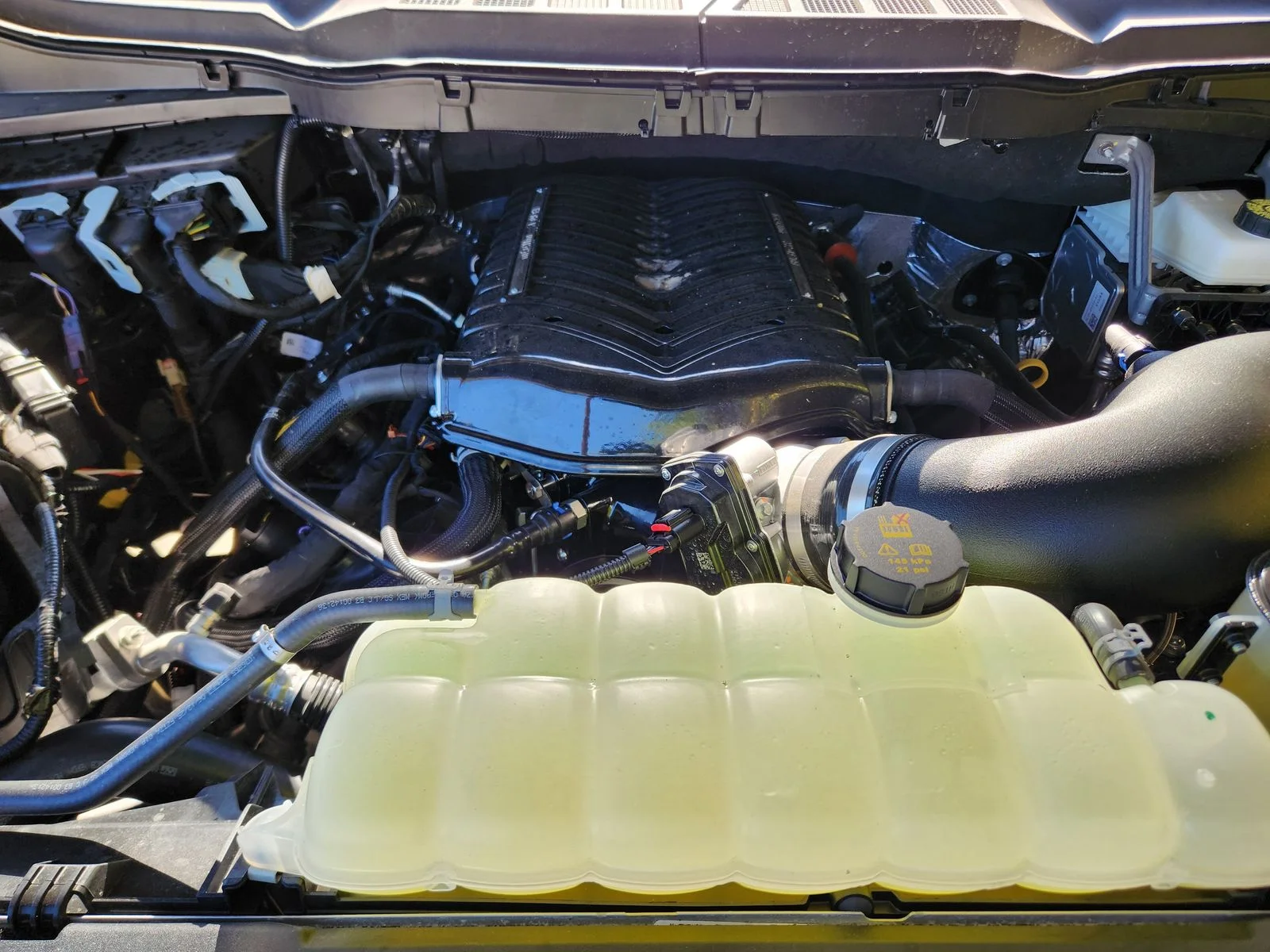 2025 Ford F-150 XLT - Photo 22