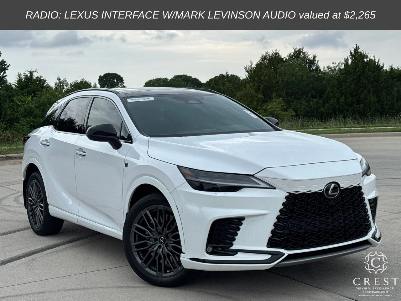 2023 Lexus RX 350h 500h F SPORT AWD's photo