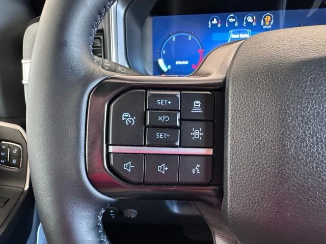New 2026 White Ford Platinum image 15