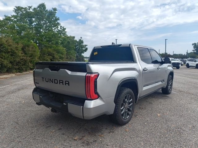 Used 2022 Silver Toyota Platinum image 9