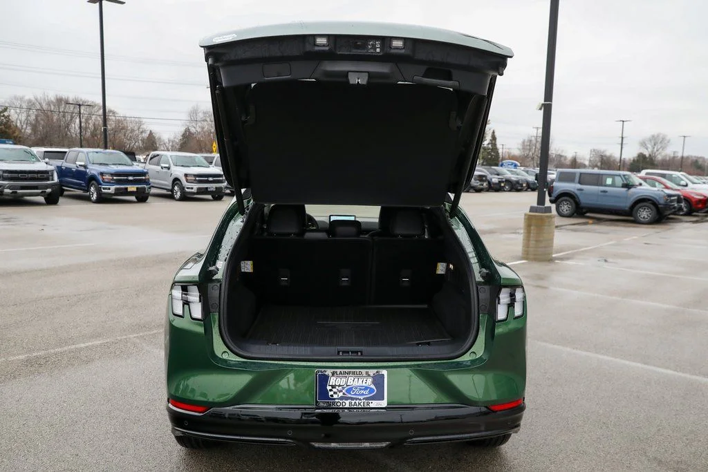 New 2025 Green Ford Premium image 12